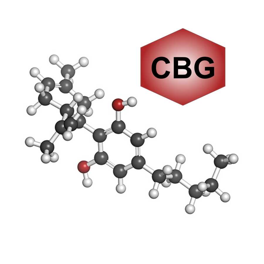 Slika prikazuje sestavo elementa CBG