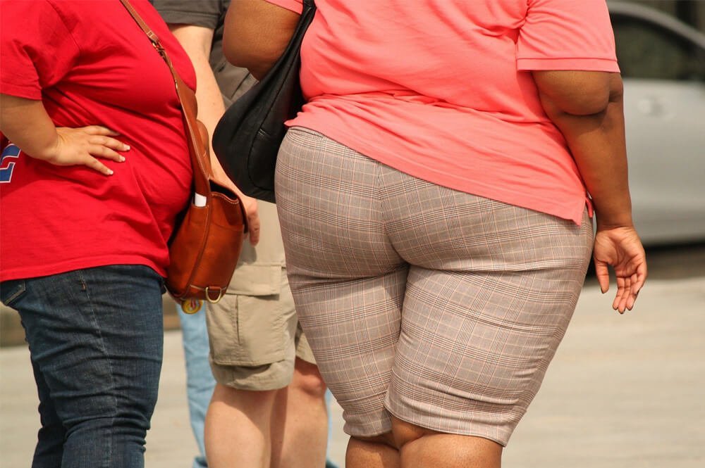 Slika prikazuje prekomerno težo žensk za članek - Endokanabinoidni sistem uravnava debelost