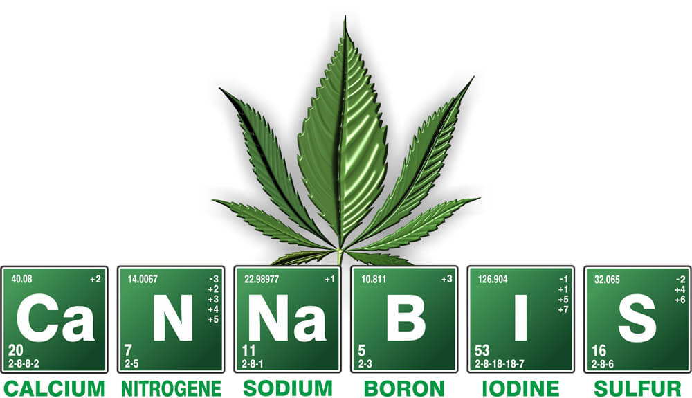 Slika prikazuje različne elemente kot calcium, nitrogene, sodium, boron, iodine and sulfer.