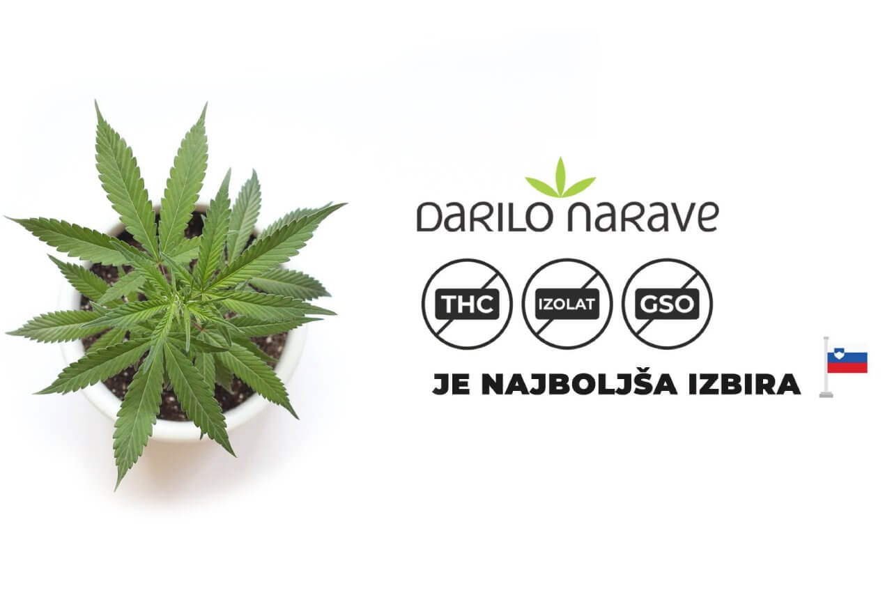 Kanabinoid - Slika prikazuje prednosti podjetja Darilo Narave.
